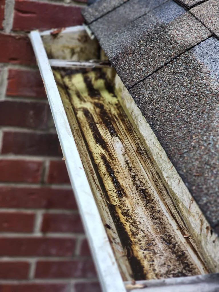 gutter-1