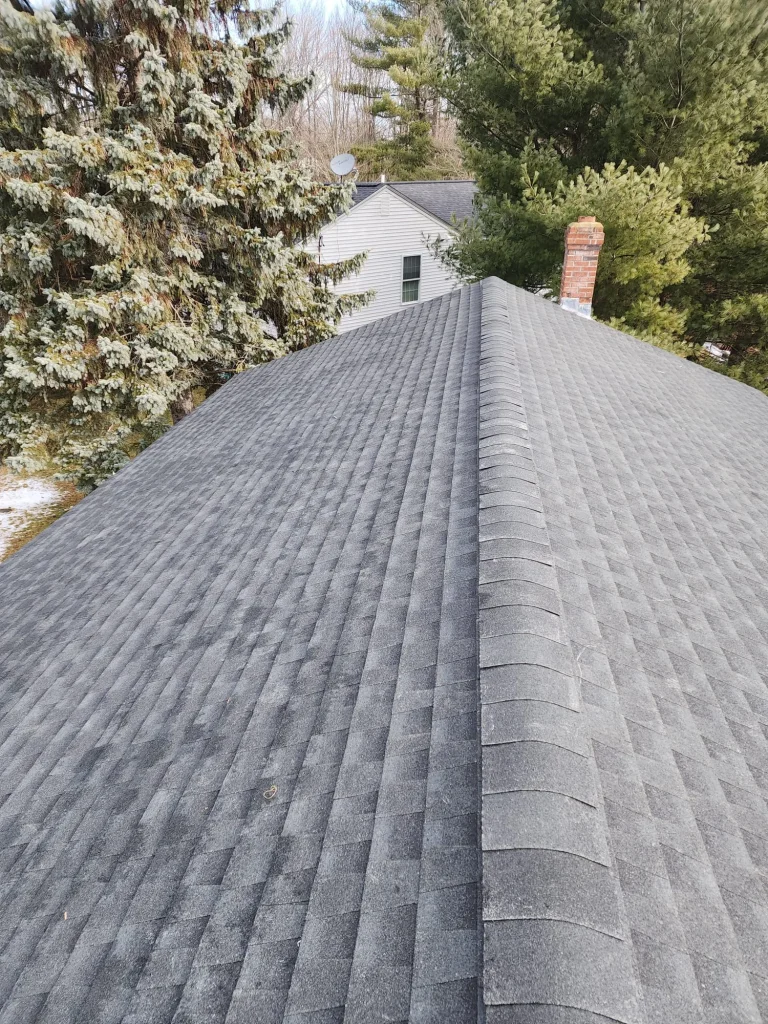 roofing-3